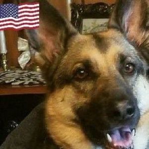 Meet your Posher, Judith